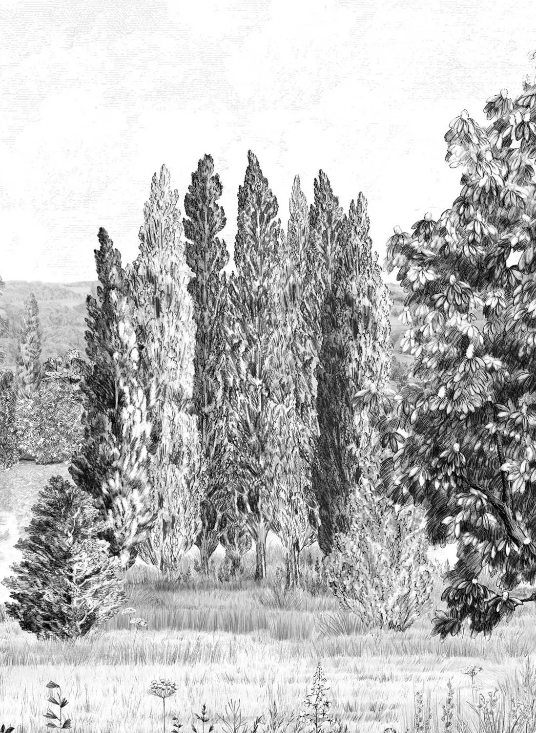 Isidore Leroy Mural Campagne Grisaille B