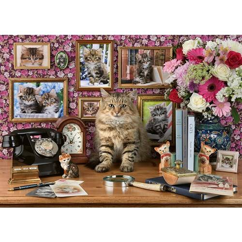 1000 bitar - My cute kitty