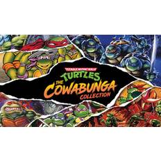 Teenage Mutant Ninja Turtles: The Cowabunga Collection (PC)