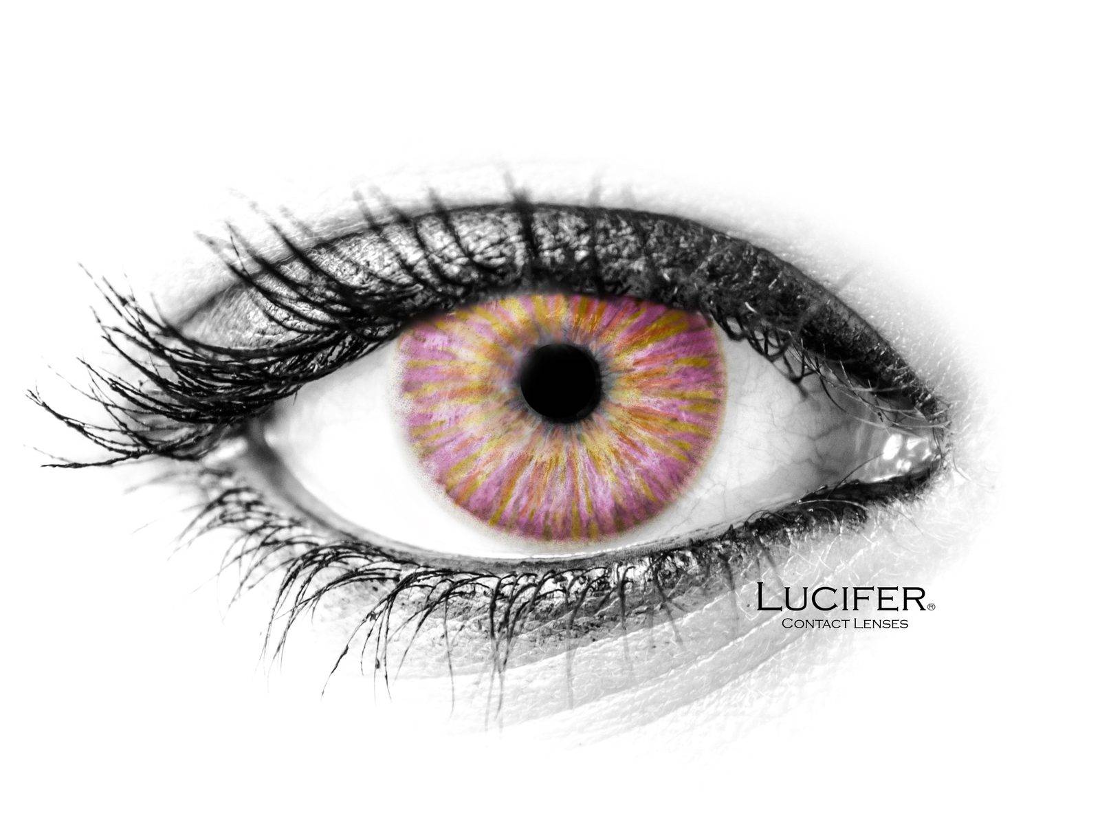 MONET PINK Contact Lenses
