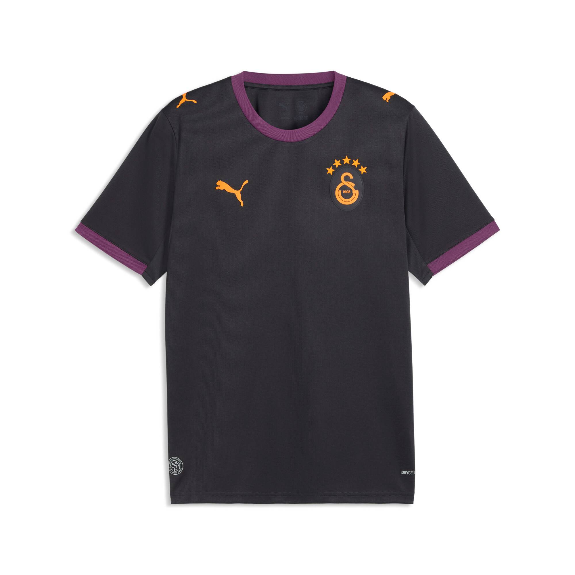 PUMA Galatasaray S.K. 26/27 Away Jersey Men, Sport, Flat Dark Gray/Plum Wine, L