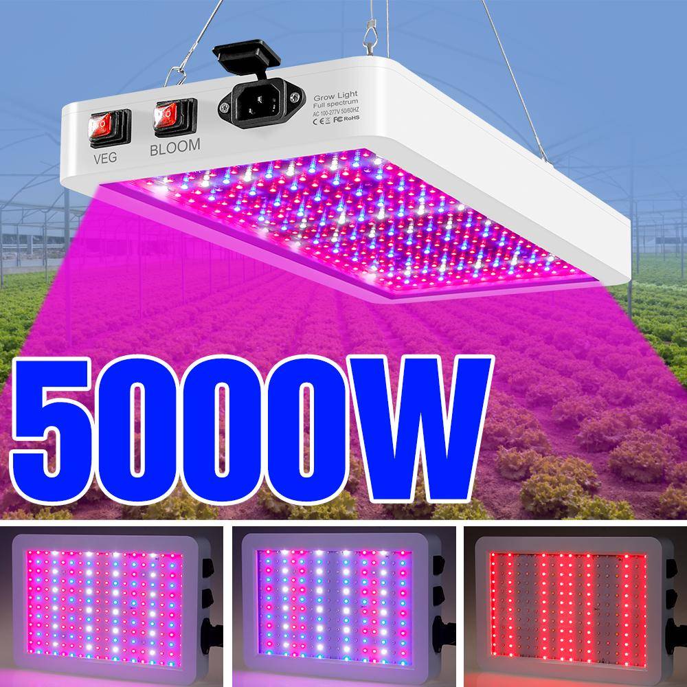 4000W Grow Light Full Spectrum Lamp For Plants 5000W Phyto Light Växthus UV-lampa Växter Frön Veg LED Fitolamp US/EU/UK Plugg