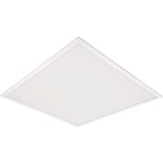 Panel Comfort DALI 4320lm 600X600mm 33W/865 UGR19