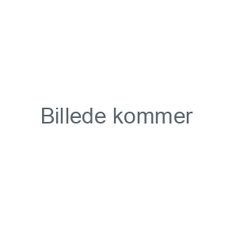 Imprægnering Sko