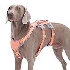 Huntboo Hundsele,Hundsele för promenadsäker,hund sele No Escape,helt reflekterande sele med vadderat handtag,andningsbar,slitstark,justerbar väst för stora hundar som går,tränar och kör utrustning