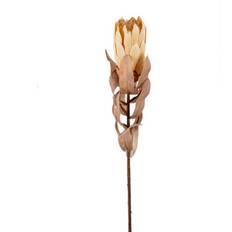 Kunstig protea - 50cm