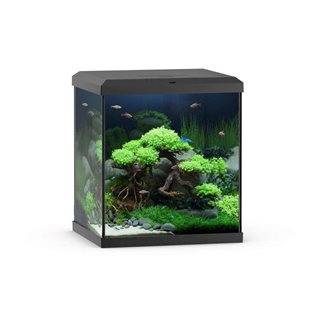 Juwel Vio Cube 54 liter - Svart - 41x36x47 cm