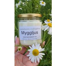 Myggljus - Ljusmakaren i Ludvigsborg