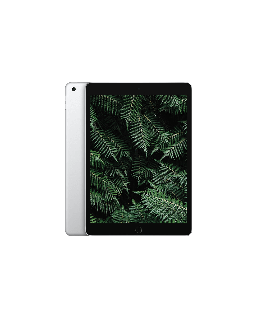 iPad 9 (2021) Wi-Fi + 4G Silver / 64GB / Okej skick