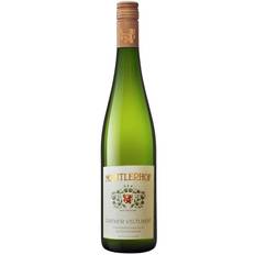 Grüner Veltliner Gutswein ØKO