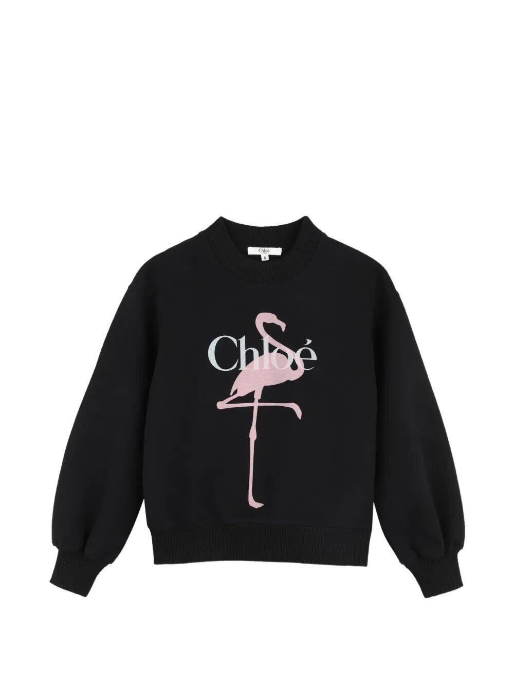 CHLOE KIDS Sweatshirt Main Feature "Jardin Baroque"