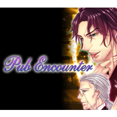 Pub Encounter PC Steam CD Key