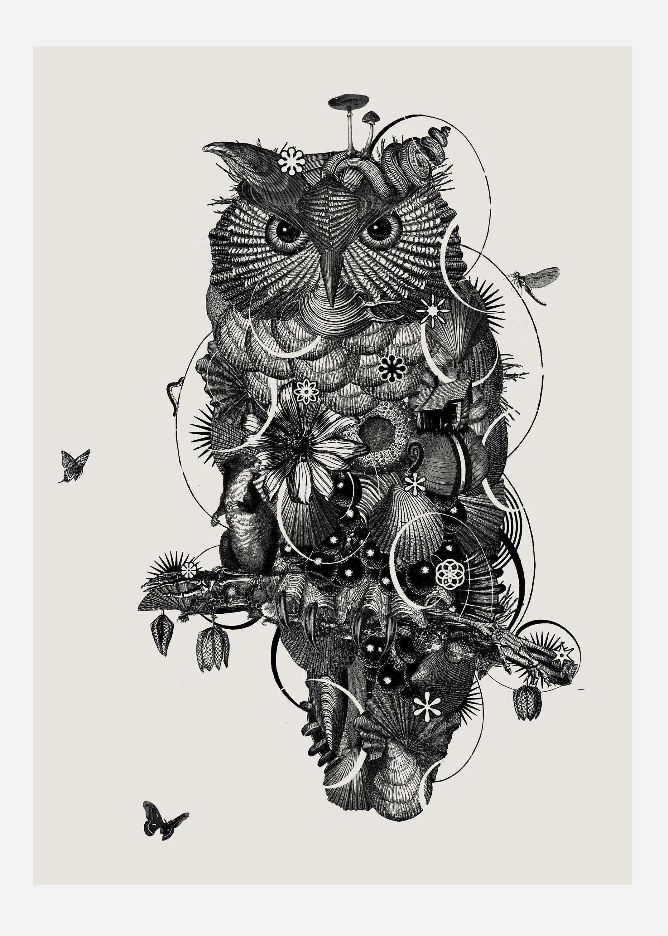 Owl Canvastavla (30x40 cm)