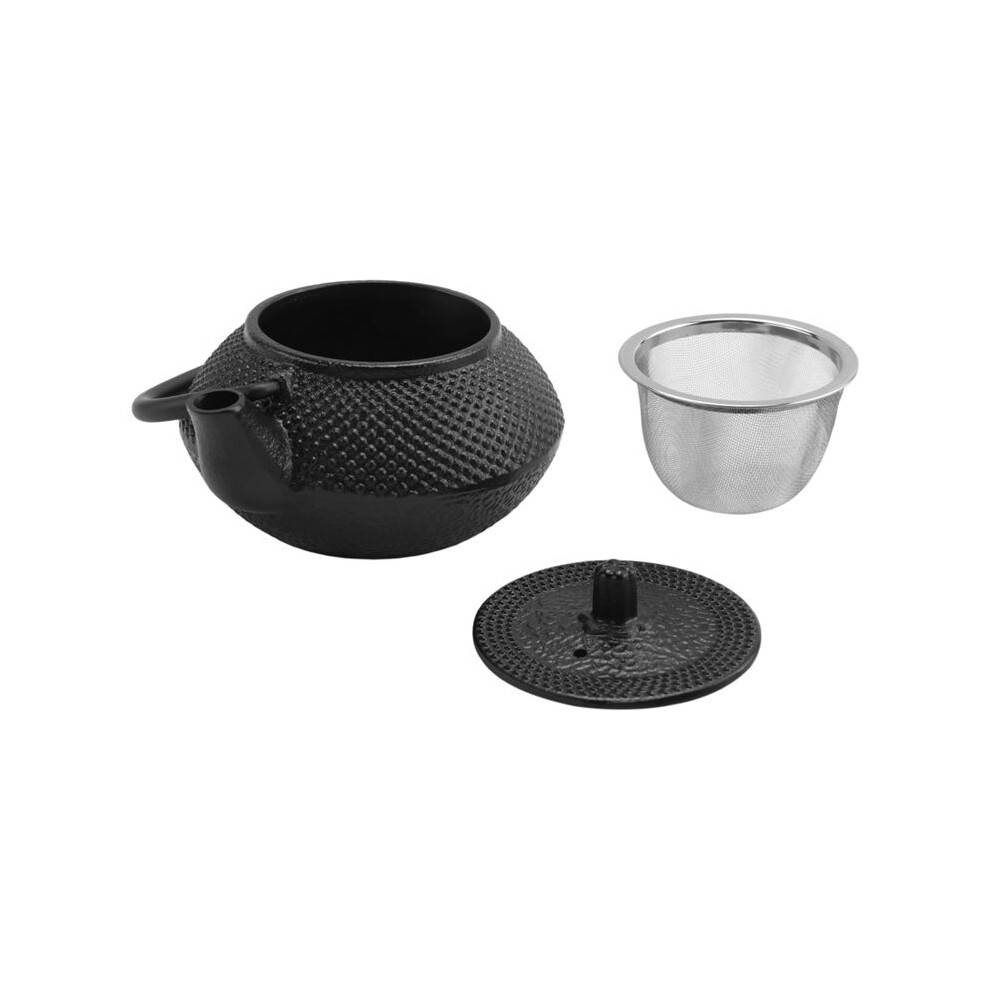 Iron Tea Pot with Stainless Steel Infuser Cast Japanese Iron Teapot Oolong Tea Puer Tea Tea Kettle 300ML