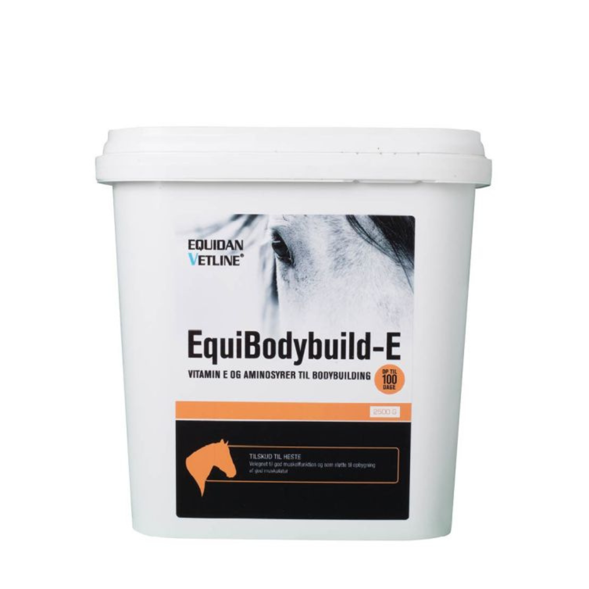 EquiBodyBuild-E.