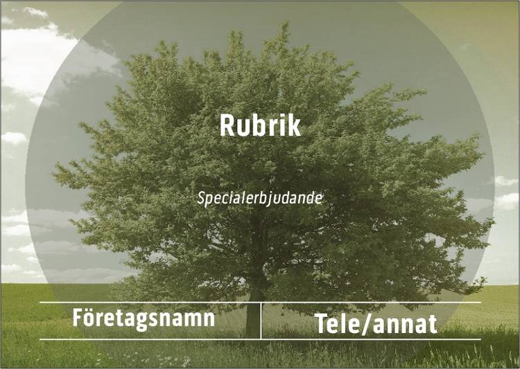 A6-flyers - Gröna - Träd - Bygg & Anläggning