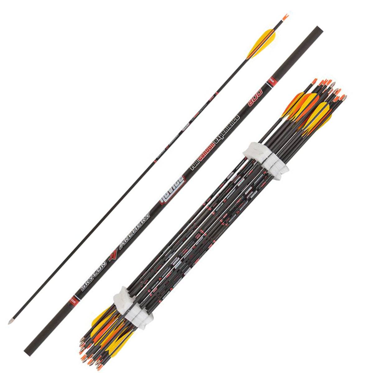 Skylon Novice carbonpil-800