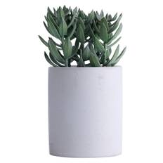 Kunstig tetragona H19 cm