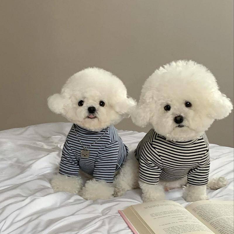 Hundkläder Sommar Tunn Andningsbar Randig Undertröja Liten Hund Teddy Pomeranian Bichon Frisé Yorkshire Liten Hund
