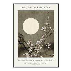 Plakat - Blooming Plum Blossom At Full Moon - Ancient Art Plakat - Str:40 x 50 Cm - Incado