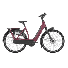 Gazelle Avignon C8