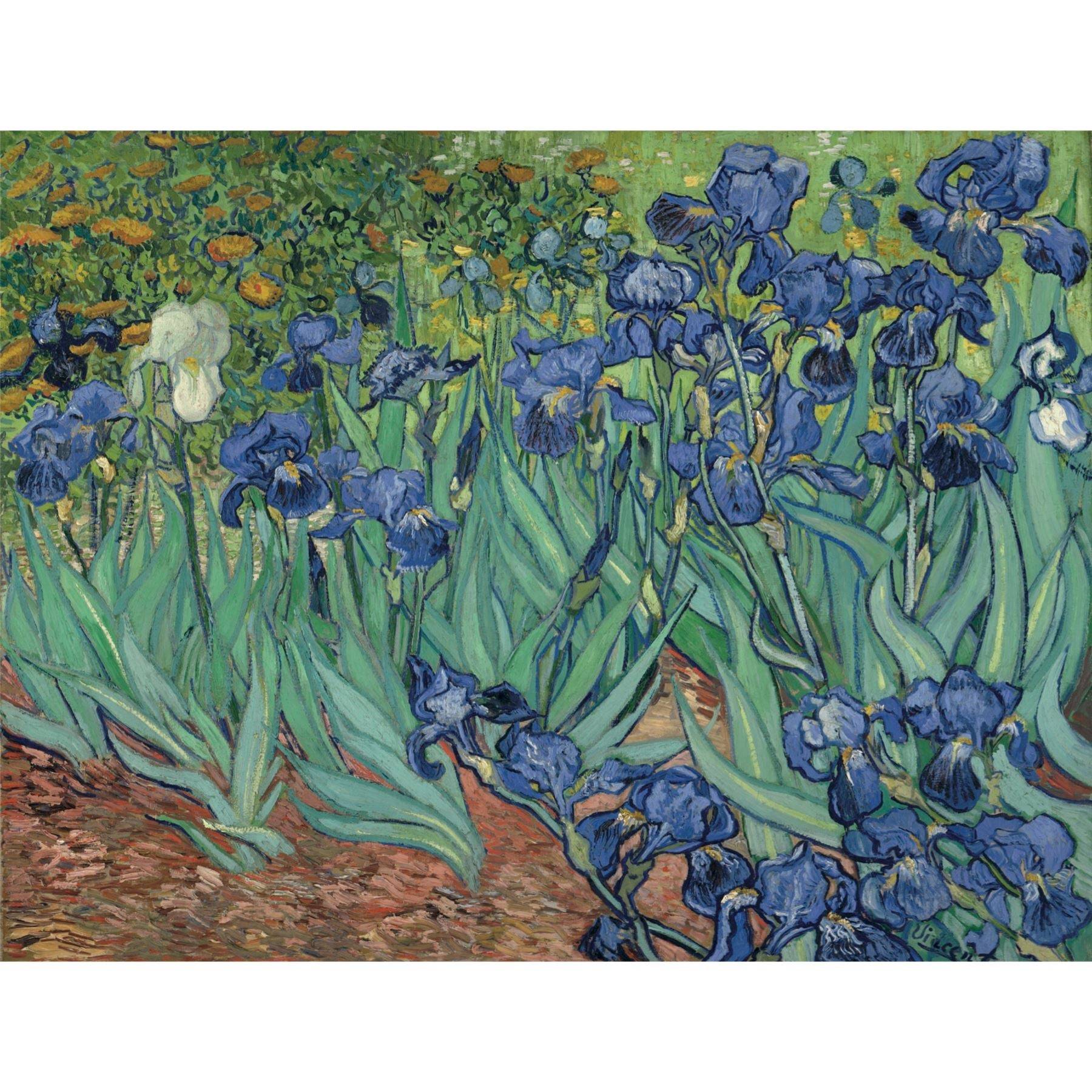 Irises Famous Fine Art Floral Jigsaw Puzzle by Vincent Van Gogh - 500