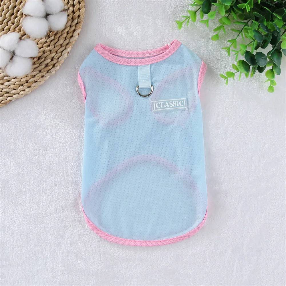 Breathable Mesh Cooling Vest with D-Ring for Small Dogs - Blue / XL (XL)