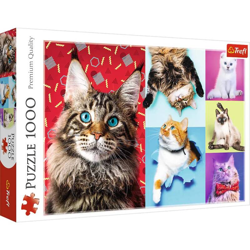 Trefl 10591 Lustige Katzen 1000 Teile, Premium Quality, für...