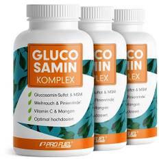 Glucosamin Komplex hochdosiert, 3x120 Kapseln, Hochwertige Matrix mit Glucosamin, Weihrauch, MSM, Pinienrinde, Mangan & Vitamin C aus Hagebutten-Extrakt, optimal hochdosiert, Vorrat für 3 Monate