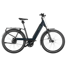 Riese & Müller Nevo4 Vario (grey matt)