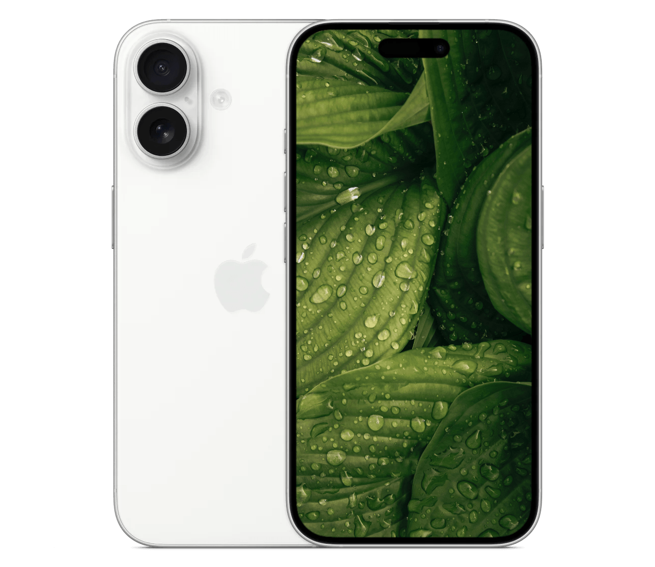 iPhone 16