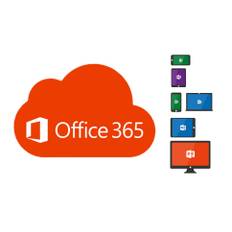 Office 365 1 Licens