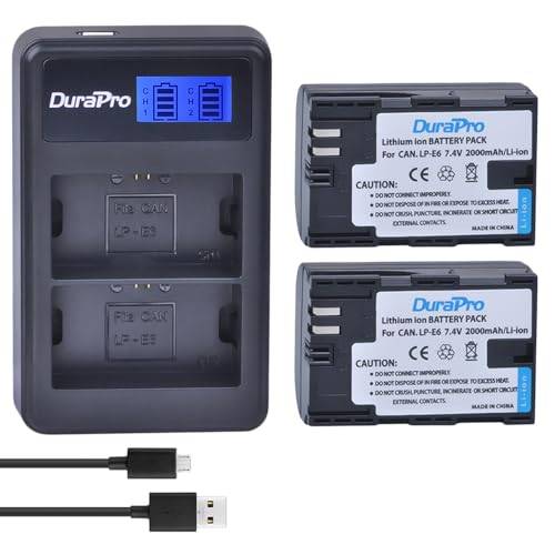 DuraPro 2-pack 1860 mAh DMW-BLF19 DMW-BLF19E batteri snabb LCD dubbel USB-laddare för Panasonic DMW-BLF19PP; kamera DMC-GH3, DMC-GH4, DC-GH5 G9