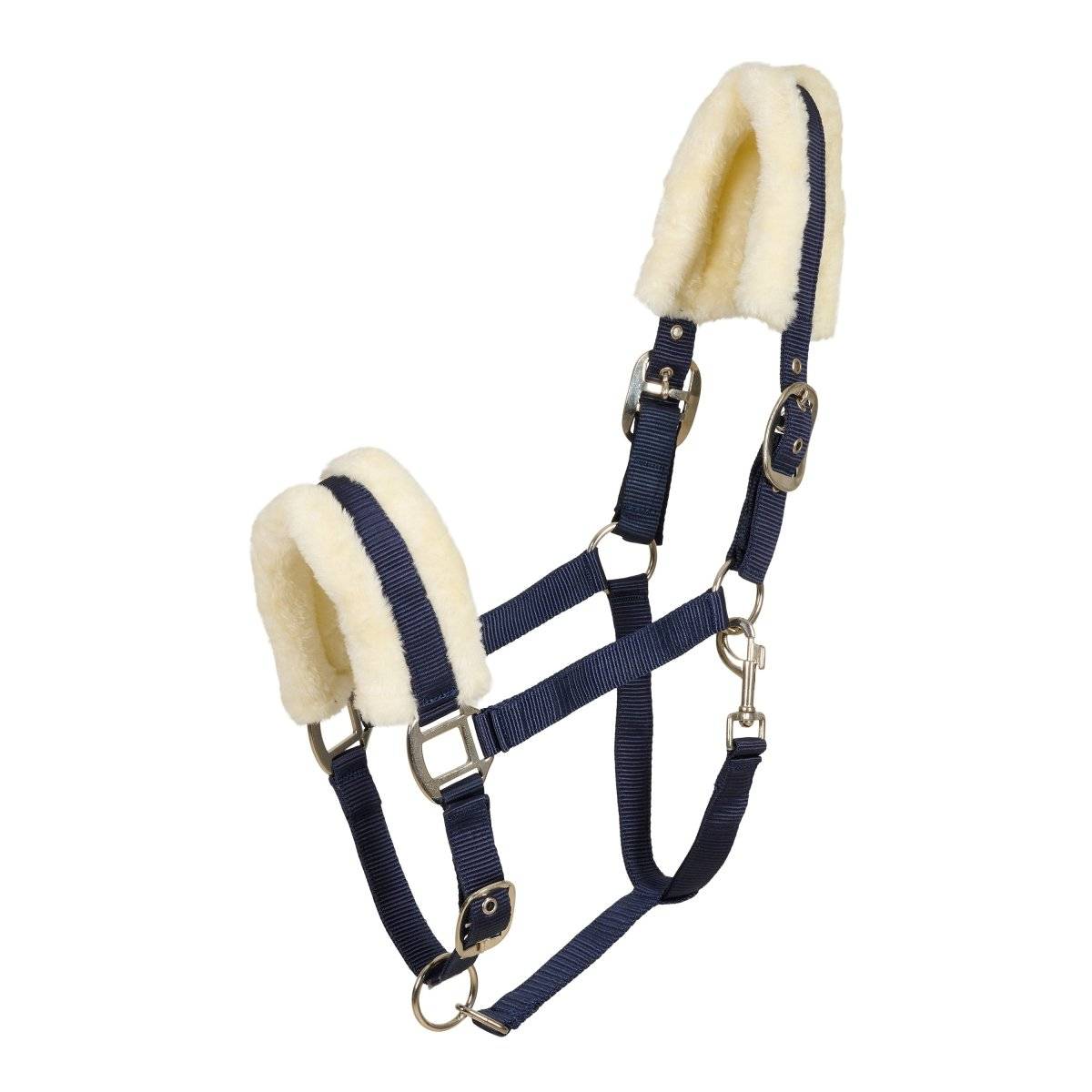 Cavalli Teddy Grime - Navy - Shetty