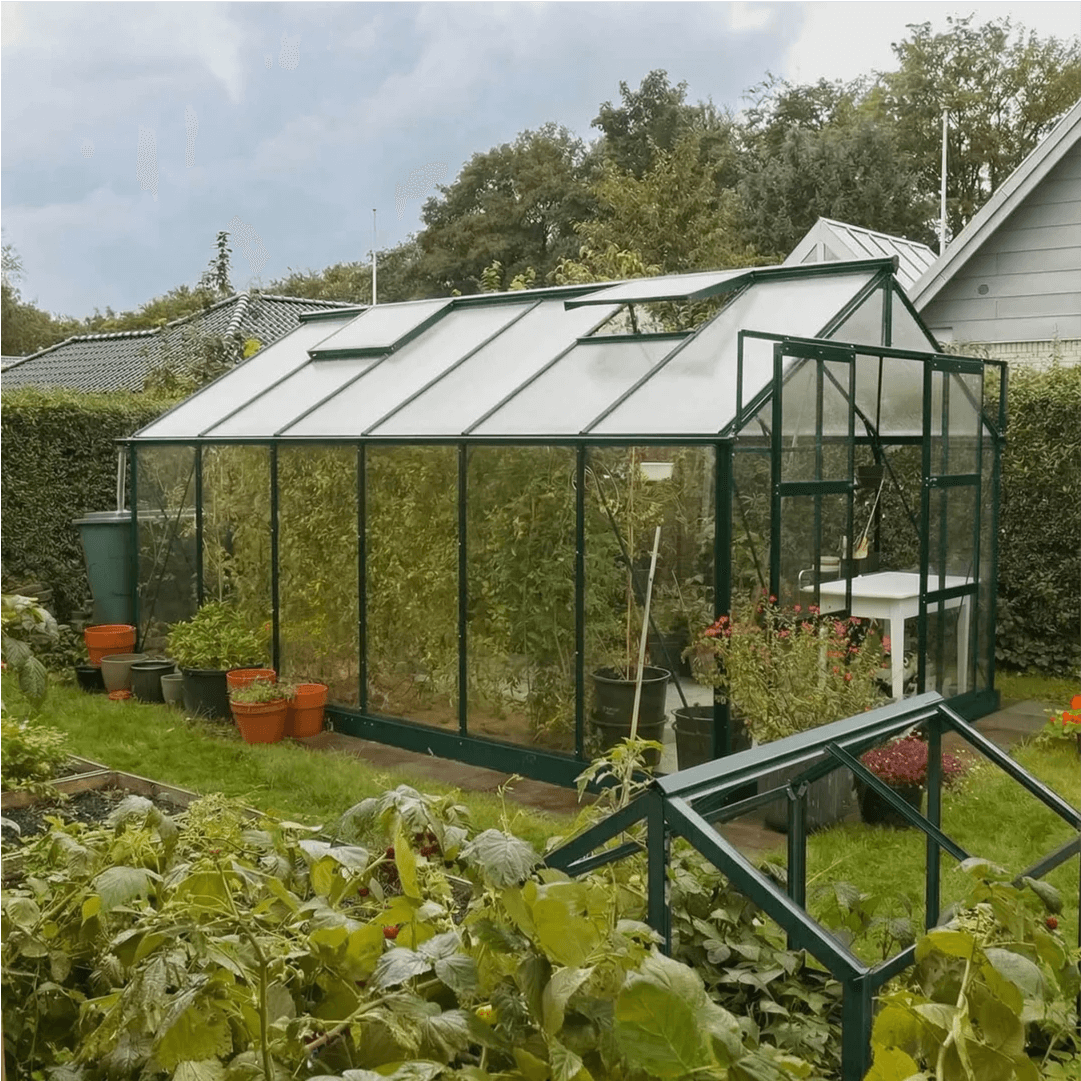 Drivhus Solid 12.5 M² - Ral 6009 army grøn / 6 mm. polycarbonat komplet / Ingen sokkel