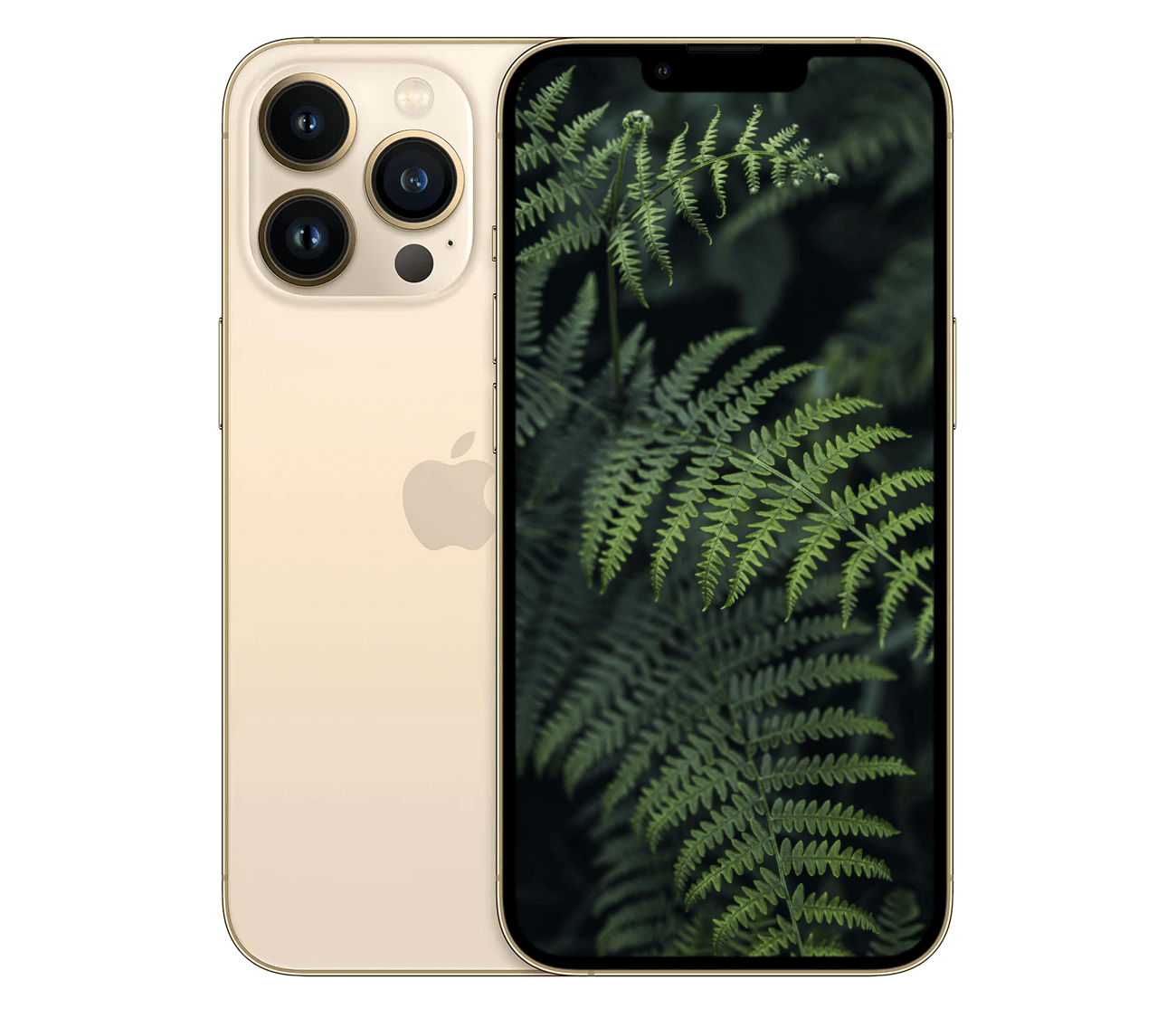 iPhone 13 Pro