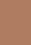 SCULPTING TOUCH CREAMY STICK CONTOUR - Contouring - 201 chocolate
