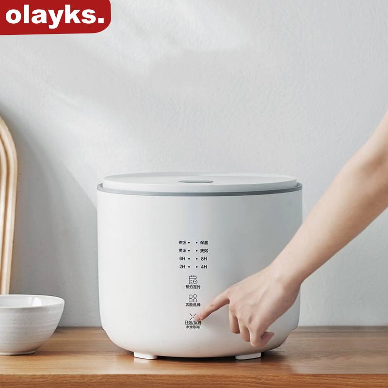 Olayks Mini Rice Cooker Japanese Simple Healthy Inner 2L For Home Kitchen Dormitory 1-4 Person Portable Rice Pot 8H Timer