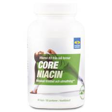 Core Niacin 500, 90 kapsler