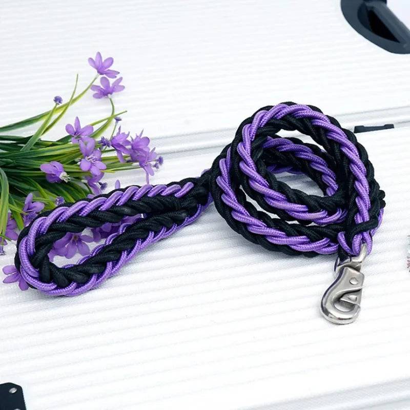 Adjustable Nylon Dog Leash & Collar Set for Medium to Large Dogs - 04 / Dia. 2.5cm (Dia. 2.5cm)