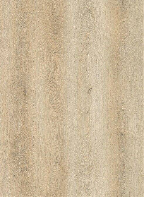 LVT Elite Large m. korkbagside, Eksklusiv planke Lys eg 337.