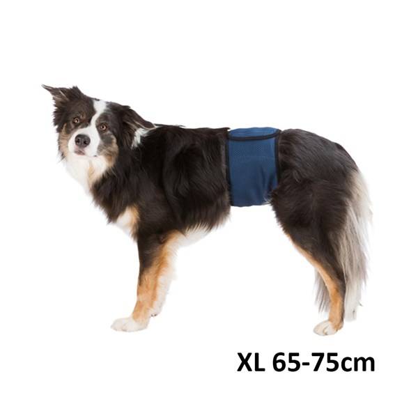Hanhundsskydd, XL
