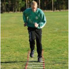 Frekvensstege 6m