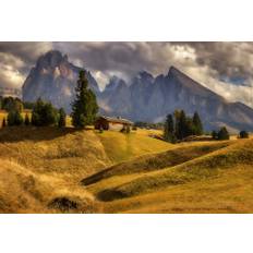 On A Mountain Meadow Poster 70x100 cm