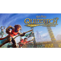 Harry Potter: Quidditch Champions (PC)