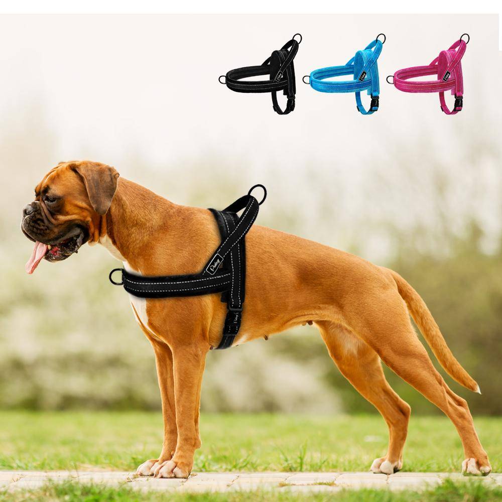 Ingen ryck Hundsele Nylon Stor Hundsele Reflekterande Husdjursväst Vadderade Remmar Selar För Små Medelstora Hundar Pitbull Buldog blå
