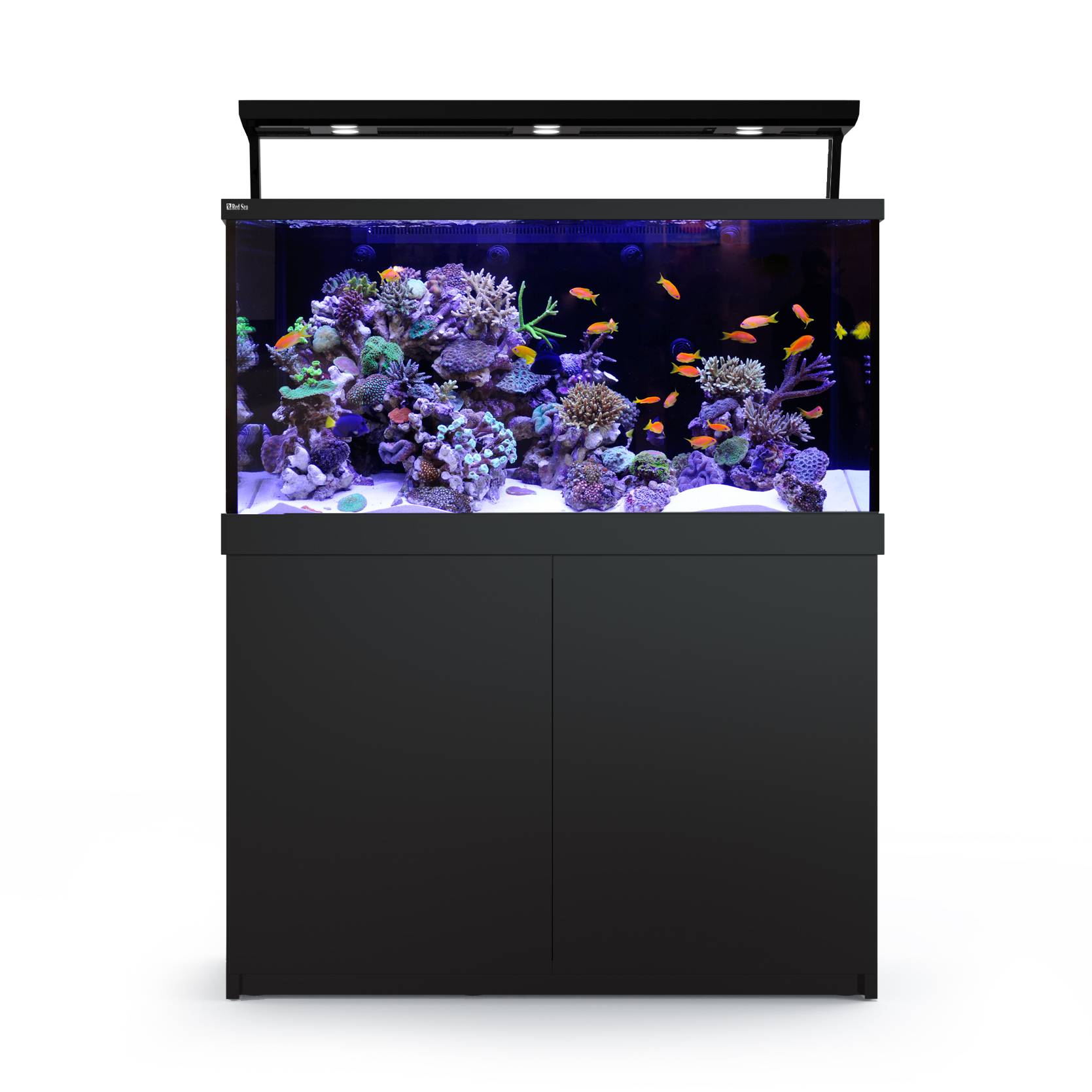Max S Akvarium Set Svart 500/440L
