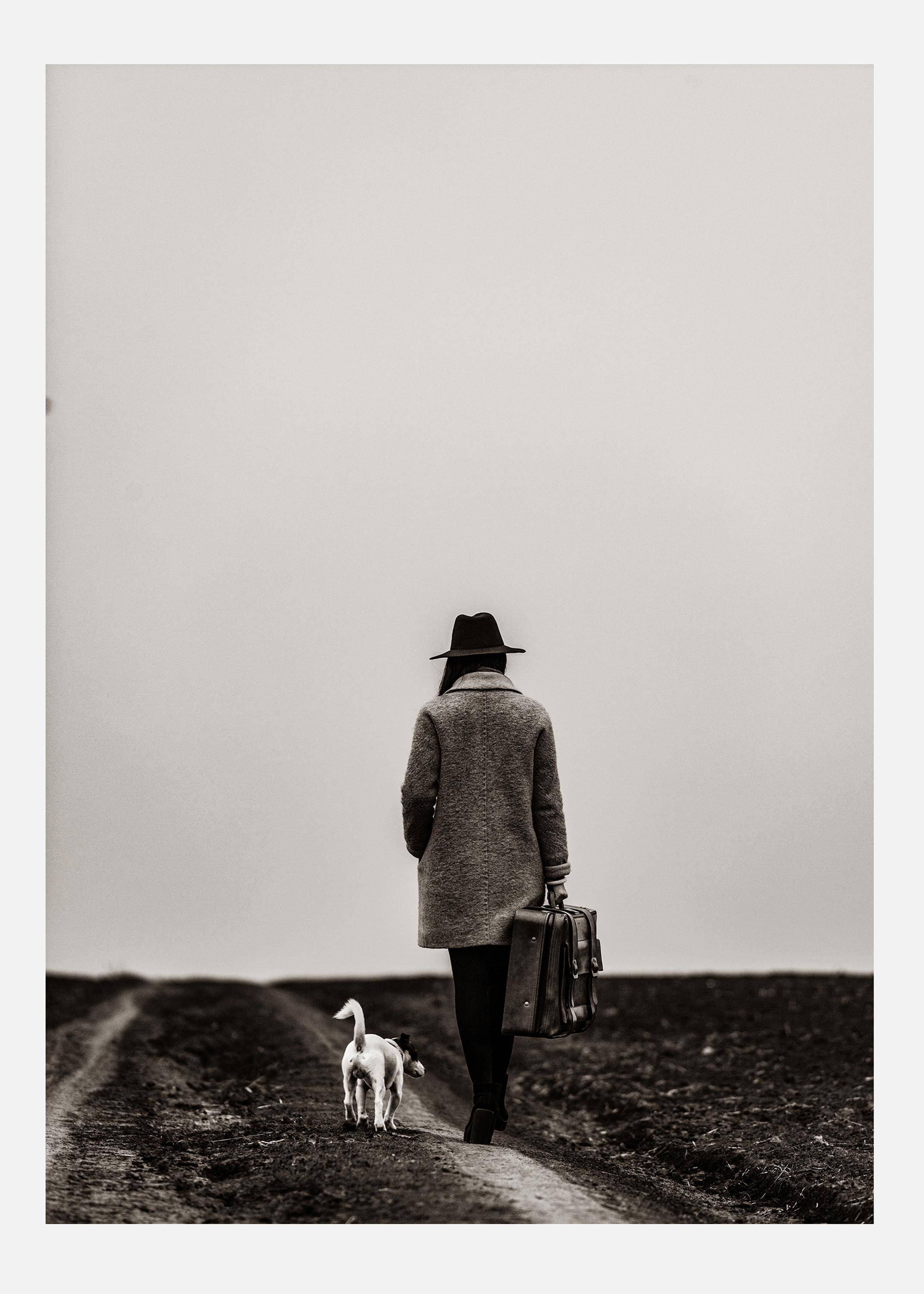 Dogwalk Canvastavla (100x140 cm)