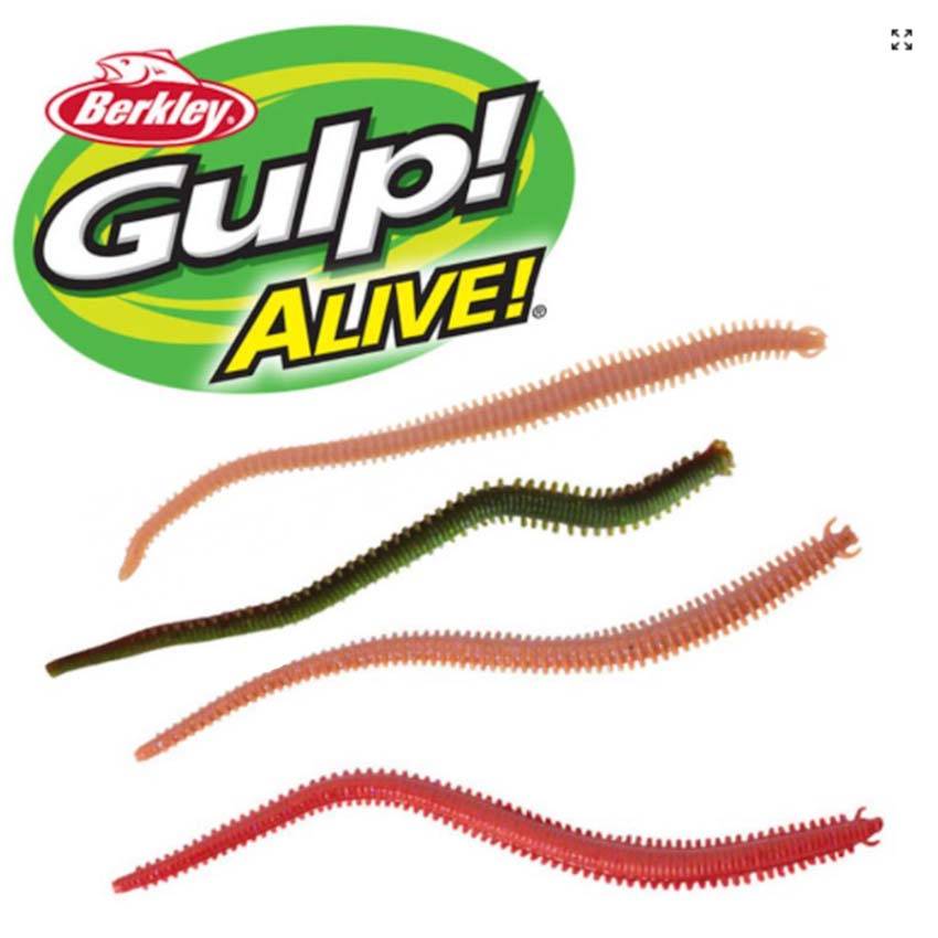 Alive!® Néréïs - Børsteorme - Børsteorm Bloody red