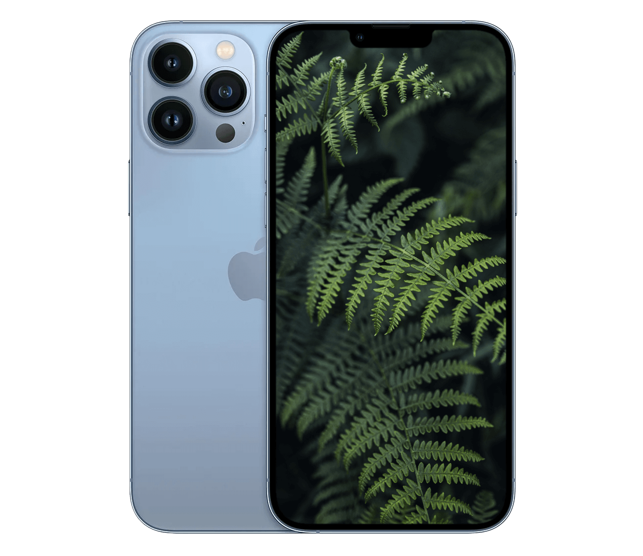 iPhone 13 Pro